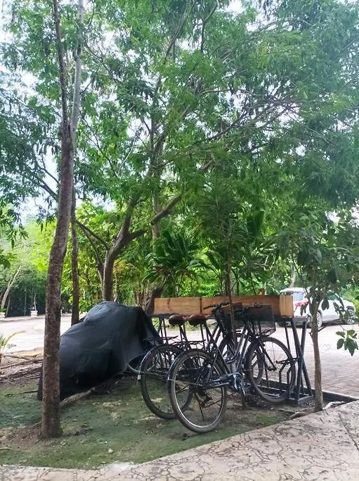 Mya Studio Tulum Aldea Zama 墨西哥