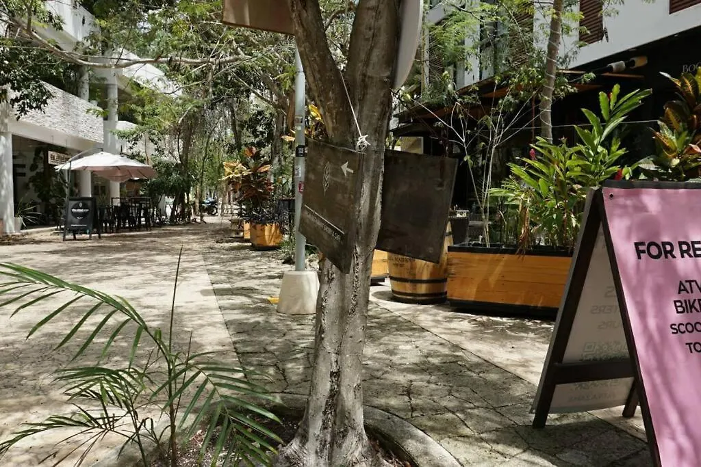 Mya Studio Tulum Aldea Zama 墨西哥